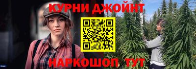 Альфа ПВП Аргун