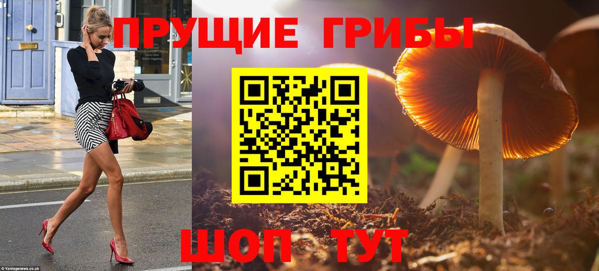 цена наркотик  Вход с VPN  Вышний Волочёк  Псилоцибиновые грибы Psilocybe  Галлюциногенные грибы ЛСД 